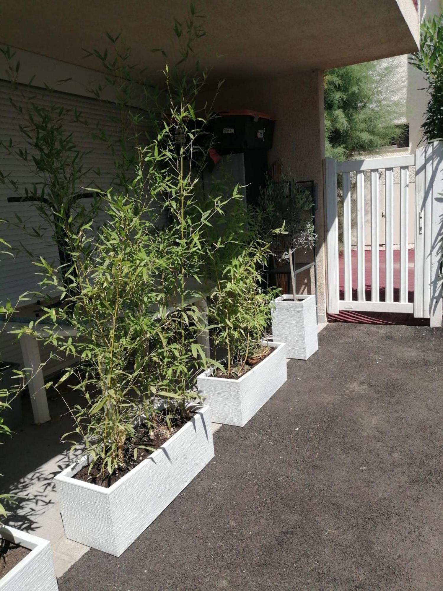 Asklan Apartment Bormes-les-Mimosas Exterior photo